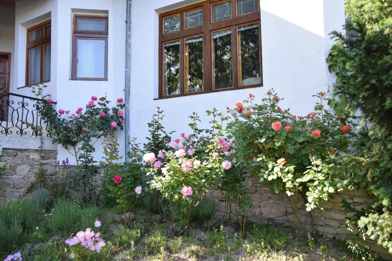 Guest House Astra アルバナシ エクステリア 写真